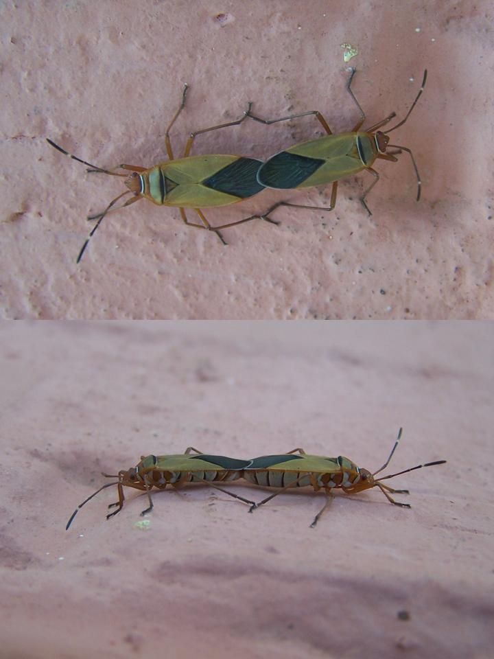 FIGURE 3 FIGURE 3